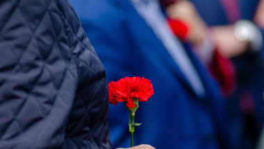a hand holding a red carnation at the celebration of April 25th in Portugal. Revolution day