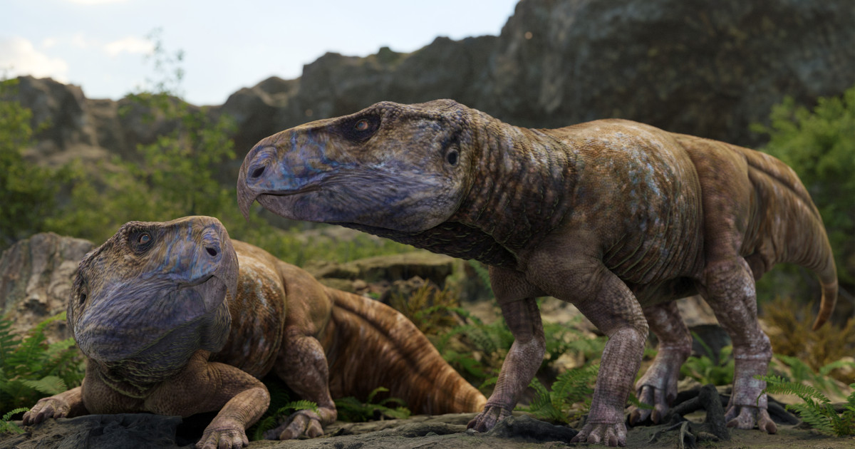 Prezența „dinozaurilor cu coarne” în Europa, contestată de peste un secol, a fost confirmată cu ajutorul unor descoperiri din România