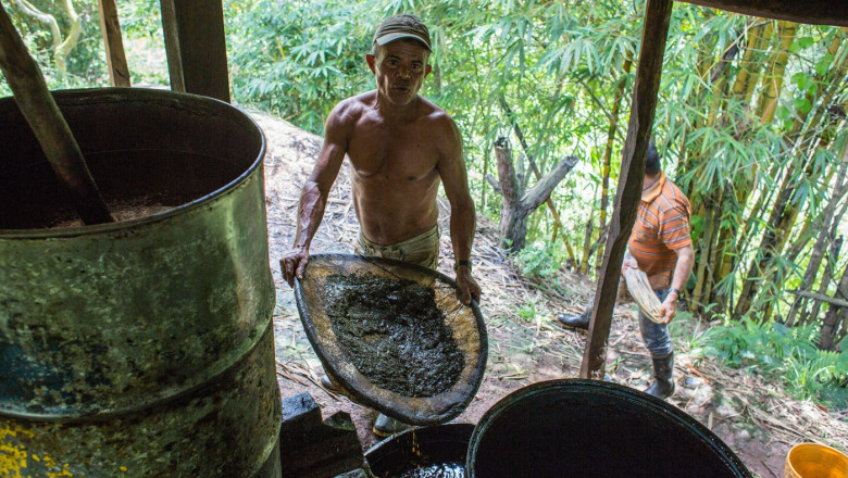 Președintele Columbiei i-a cerut lui Trump „să-l ajute să lovească dur gherila ELN”, care controlează regiuni de producție a cocainei