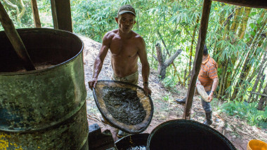 cocaina columbia jungla