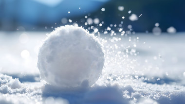 snow ball in the snow
