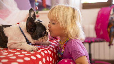Female toddler kissing cute dog in bedroom
