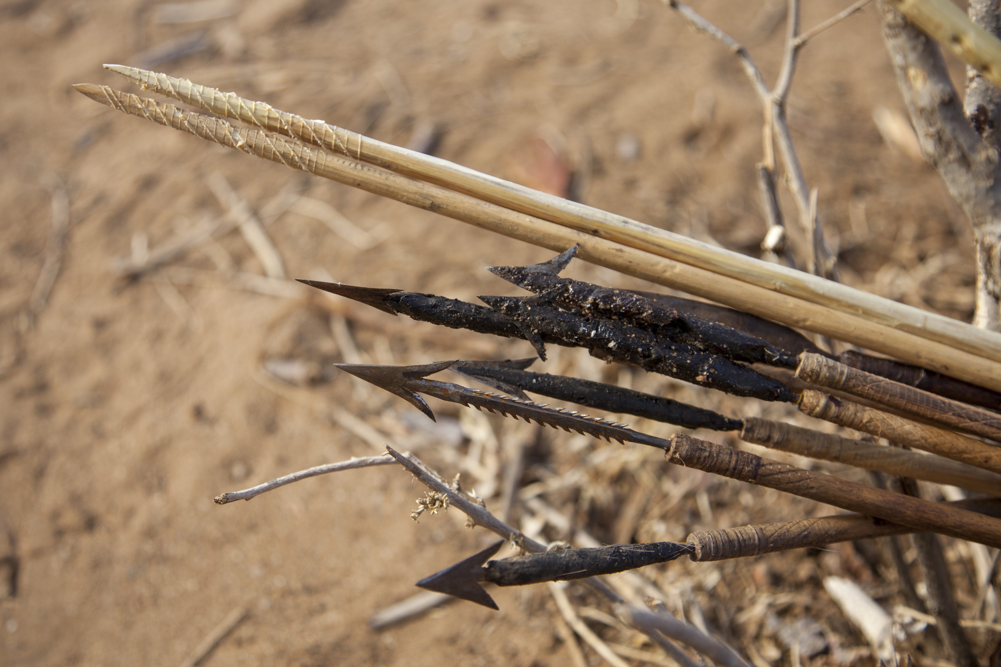 Cea mai veche dovadă a armelor otrăvite: săgeți vechi de 60.000 de ani. Unde au fost descoperite