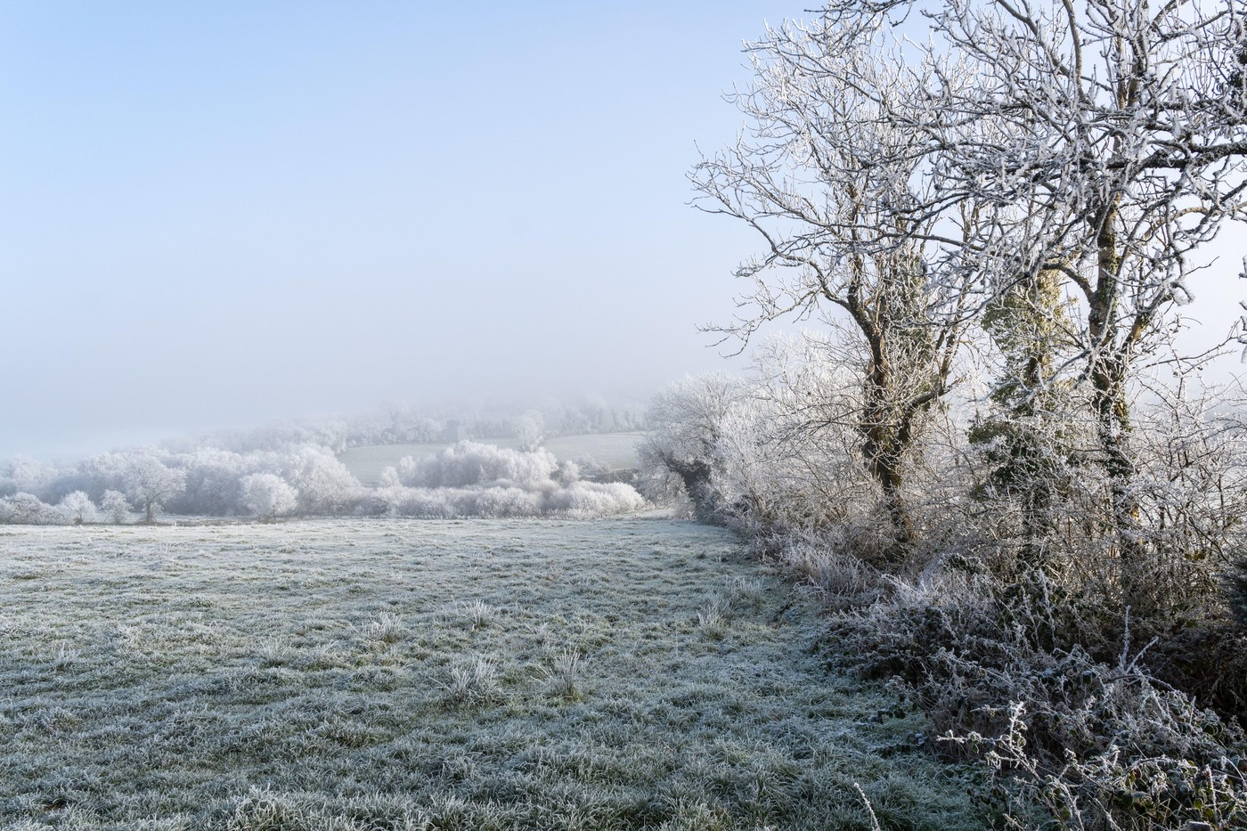 Temperaturi scăzute săptămâna viitoare în mai multe regiuni. Unde va fi mai cald. Prognoza meteo pentru următoarele 4 săptămâni