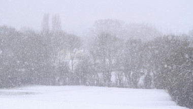 ninsoare viscol vremea
