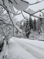 607148939_1208174464782184_2831492678372571193_n (1)