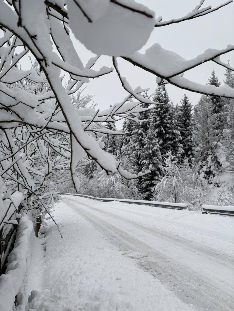 607148939_1208174464782184_2831492678372571193_n (1)