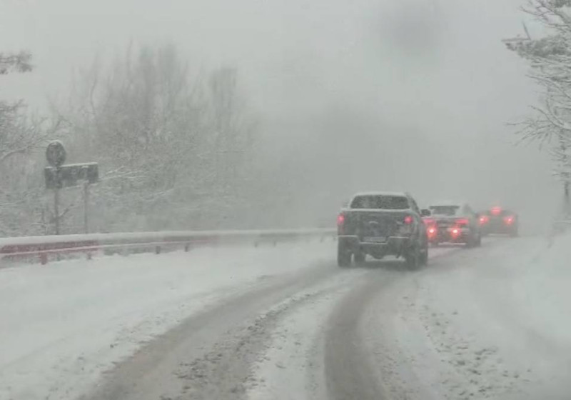 609221508_1208187398114224_8000812496622637753_n