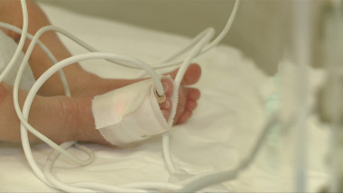 N06 BEBELUS MORT-BETA 140126_02092