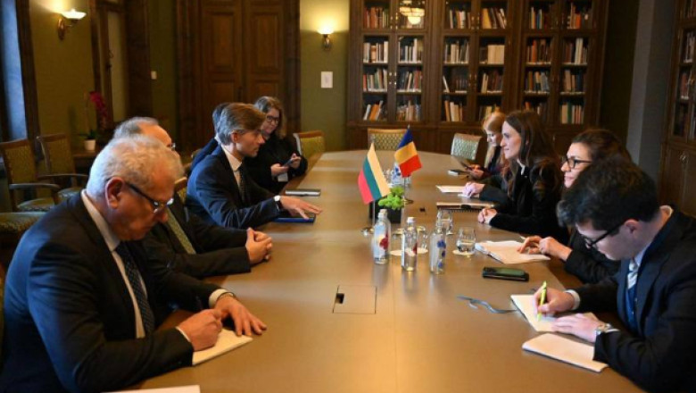 Oana Ţoiu, la reuniunea „Snow Meeting”, de la Vilnius: S-a discutat despre importanţa strategică a Mării Negre şi a Dunării