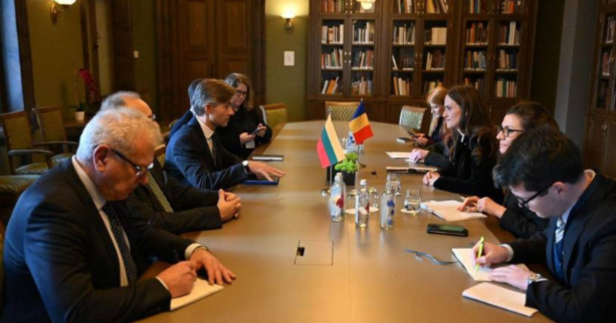 Oana Țoiu, la reuniunea „Snow Meeting” de la Vilnius