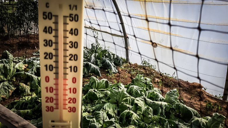 VIDEO  Lovitura primită de agricultori odată cu gerul care s-a abătut peste România: costuri duble pentru încălzirea solariilor