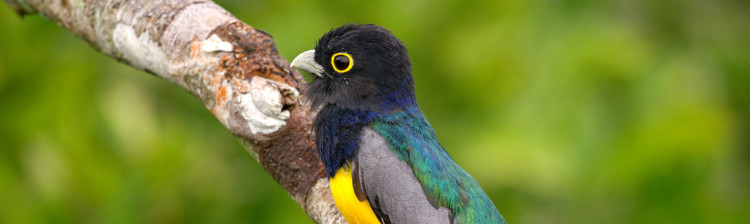 Împărţim planeta! | ep. 4