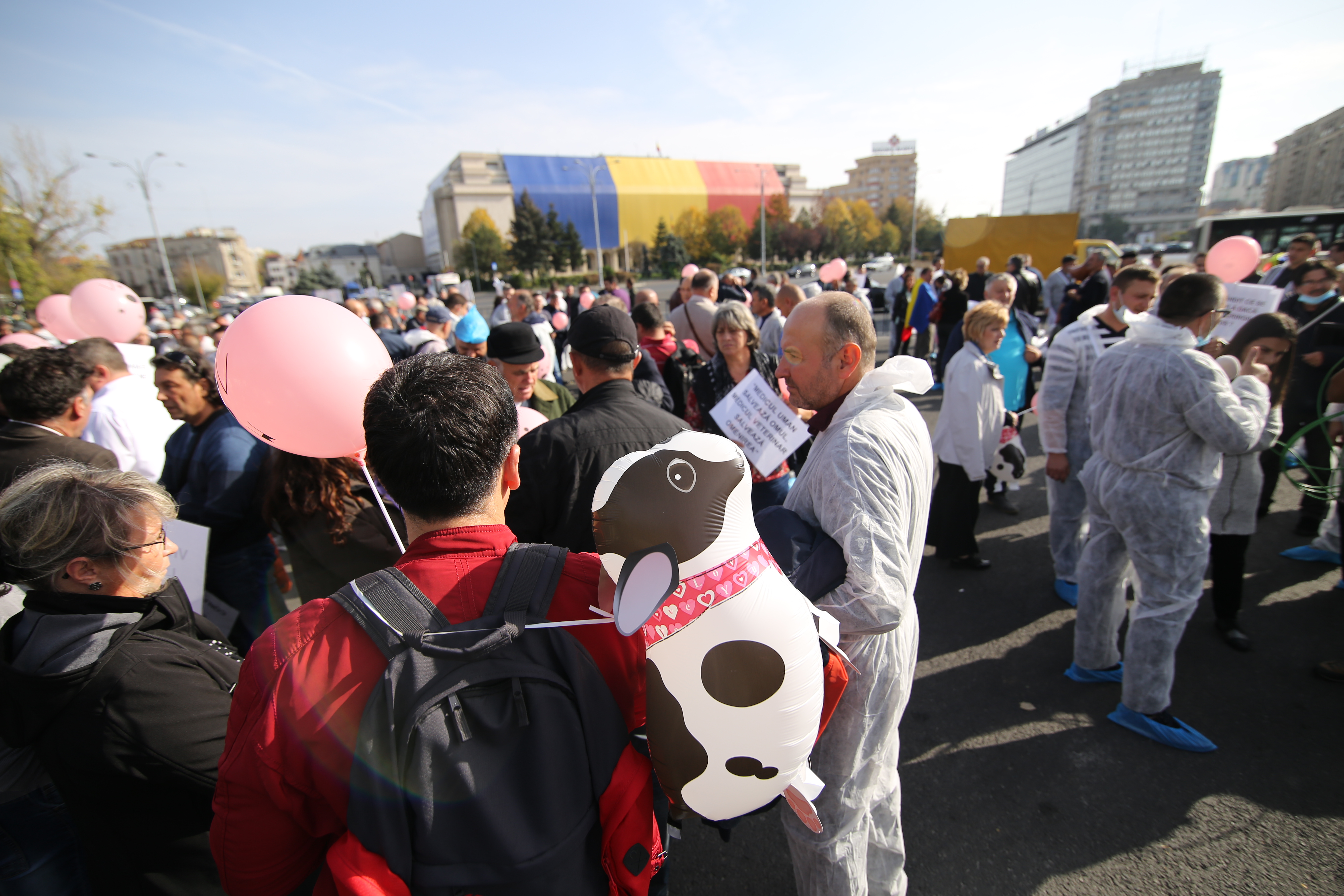 Medicii veterinari protestează, astăzi, în Piaţa Victoriei, faţă de reducerea finanţării serviciilor sanitar-veterinare