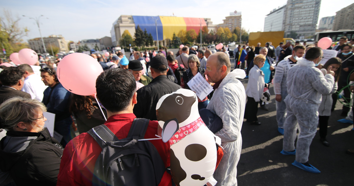 Medicii veterinari protestează în Piaţa Victoriei