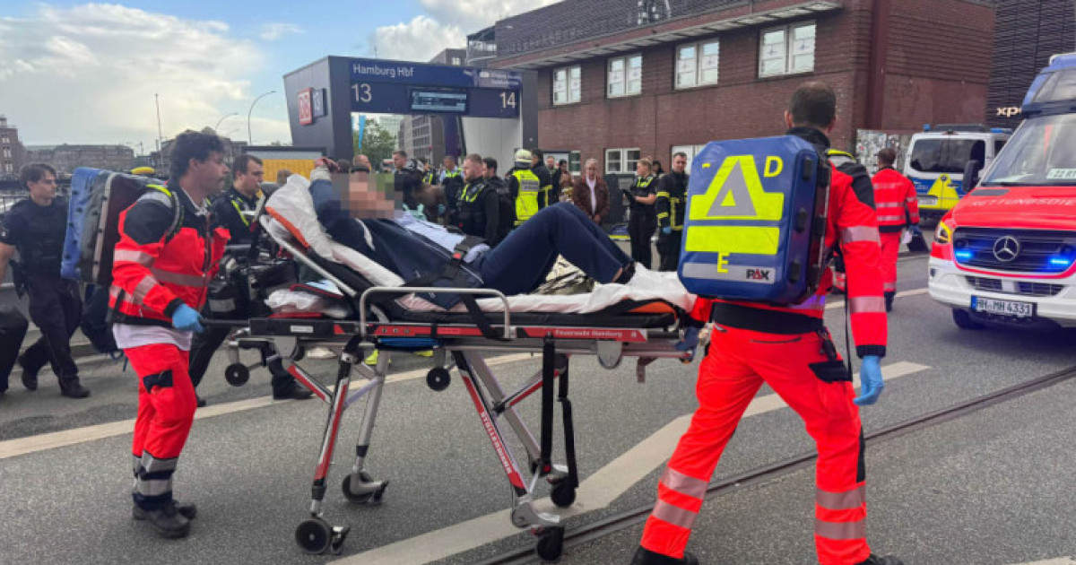 Justiția germană a decis în legătură cu autoarea atacului cu cuţitul din mai 2025, la Hamburg: O „alterare... Kép