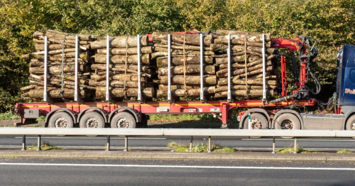 Ministrul Mediului anunţă schimbări în aplicaţia SUMAL, pentru a combate „o metodă clasică de furt” de... Kép