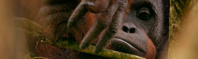 Supraviețuirea bestiei | ep. 3