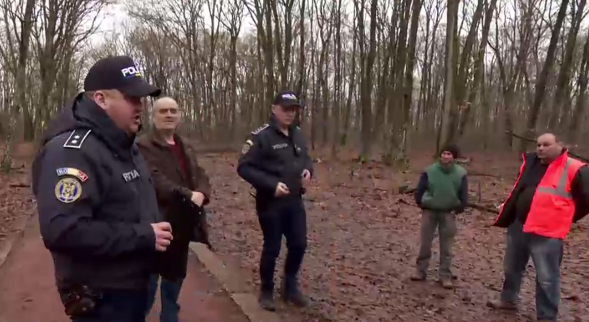 Ancheta scoate la iveală noi nereguli în pădurea de la Băile Felix: Sunt mai mulți arbori tăiați ilegal decât în plângerea penală