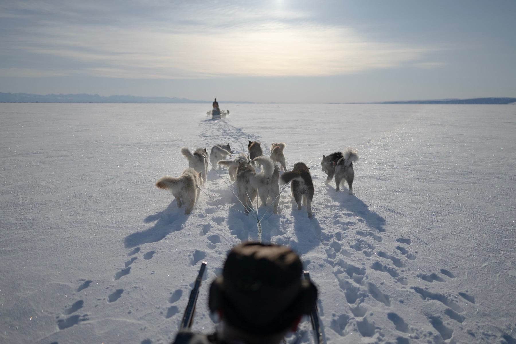 Conflict de viziuni asupra Groenlandei. Inuiții răspund ambițiilor lui Trump: „Nimeni nu deține teritoriul arctic, îl împărțim”