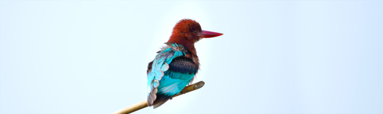 Împărţim planeta! | ep. 1