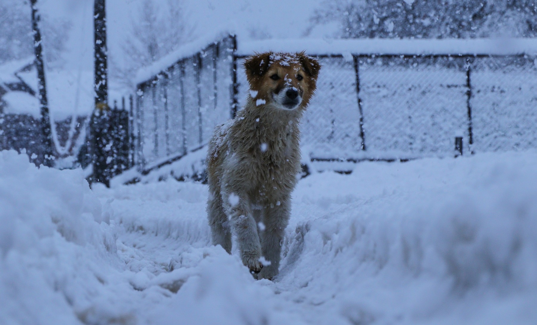 Cum trăiesc iarna oamenii blocați în satele uitate de lume ale României: „Așa a fost dintotdeauna. Noi suntem departe de civilizație”