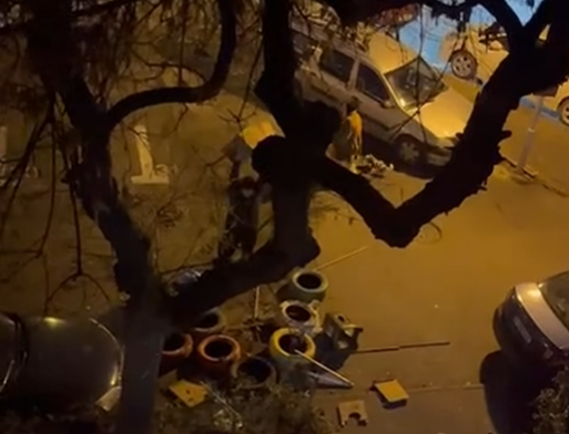 Un bărbat e anchetat după ce a distrus mai multe căsuțe pentru pisici în Sectorul 3. Imaginile au devenit virale pe internet