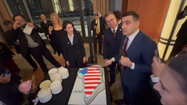 simion care taie tortul cu groenlanda