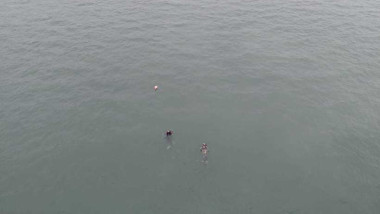 photo-collage.png (50)