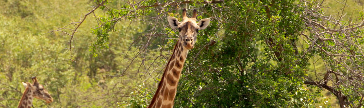 Împărţim planeta! | ep. 2