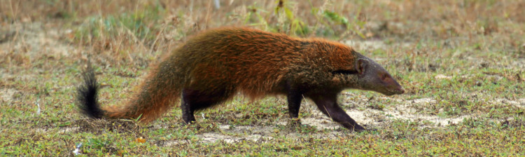 Supraviețuirea bestiei | ep. 5