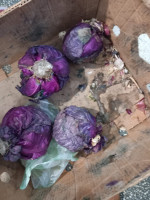 WhatsApp Image 2026-01-31 at 10.27.46