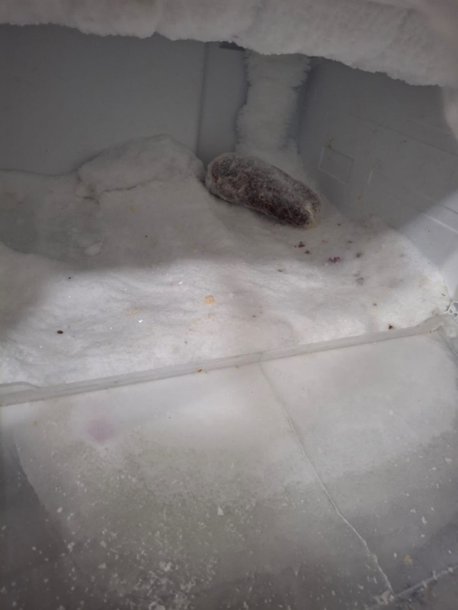 WhatsApp Image 2026-01-31 at 10.27.39