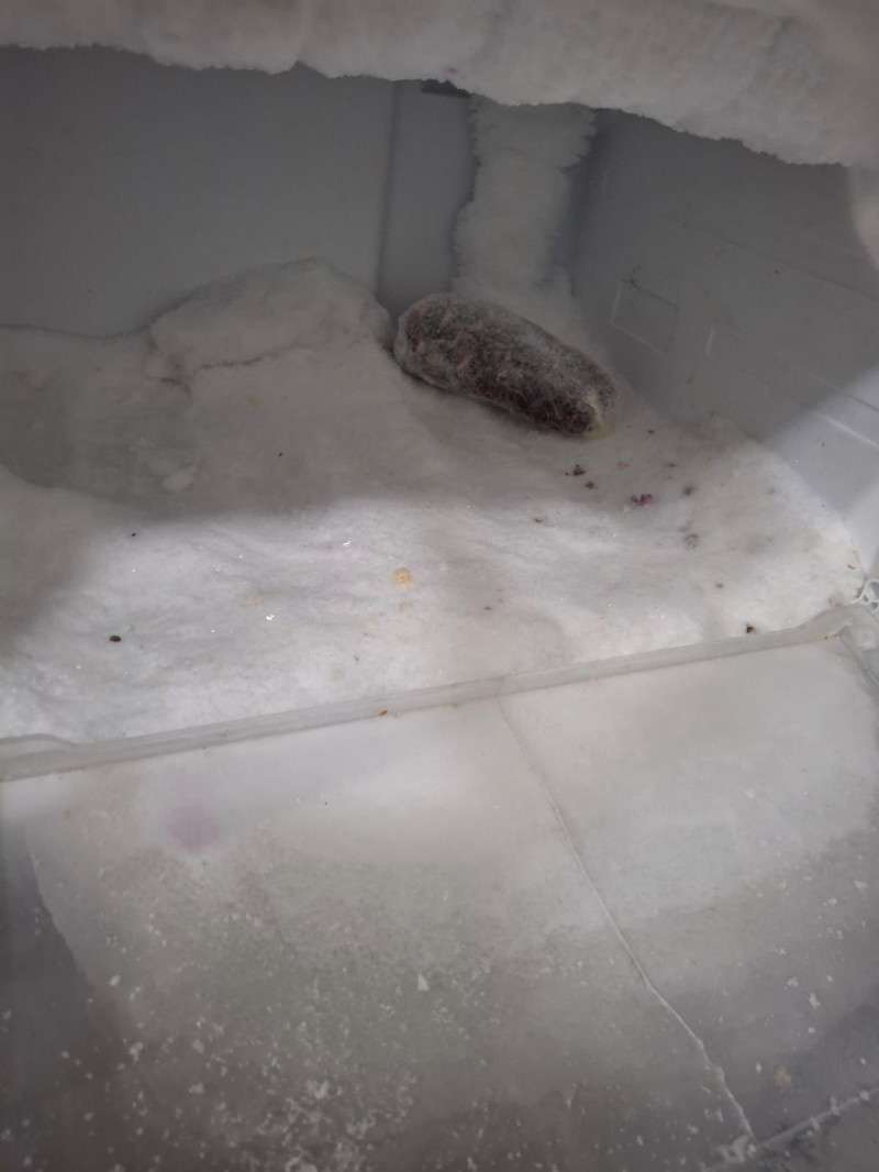 WhatsApp Image 2026-01-31 at 10.27.39