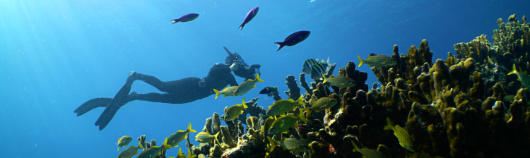 Adâncurile Americii de Nord | ep. 6