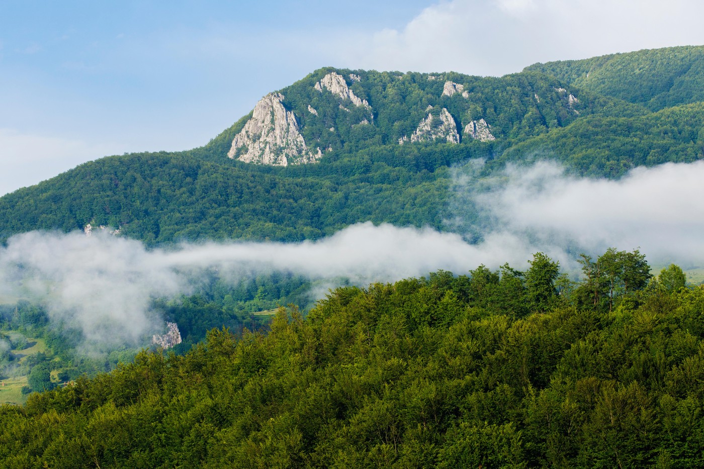 Zăcăminte de minerale rare, descoperite în Apuseni. O companie canadiană a găsit uraniu, cobalt și nichel