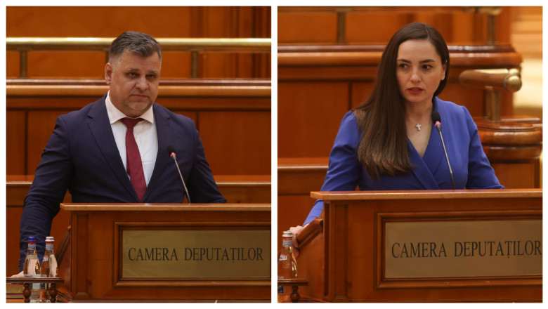 radu ionescu anamaria gavrila