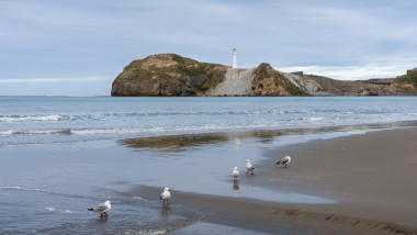 plaja wellington nz profimedia-1059619548