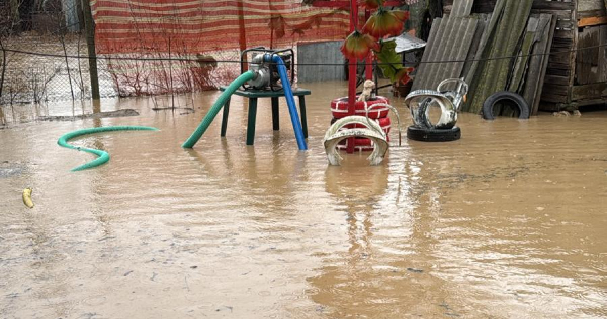 România se pregătește să combată inundațiile cu ajutorul soluțiilor naturale