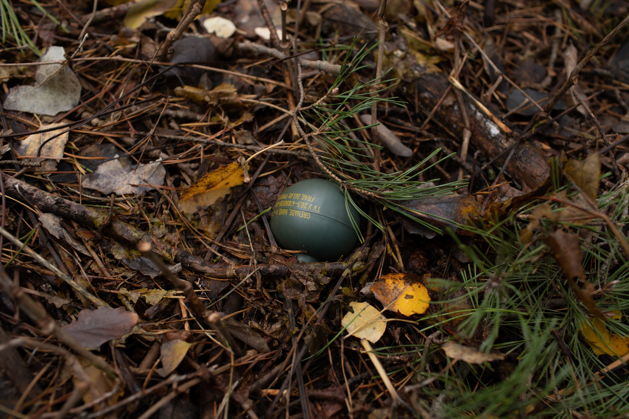 Alertă în Aiud după ce două grenade defensive au fost descoperite pe un drum public