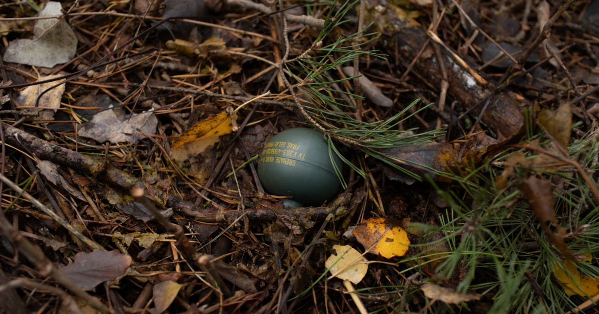 Alertă în Aiud: două grenade defensive descoperite