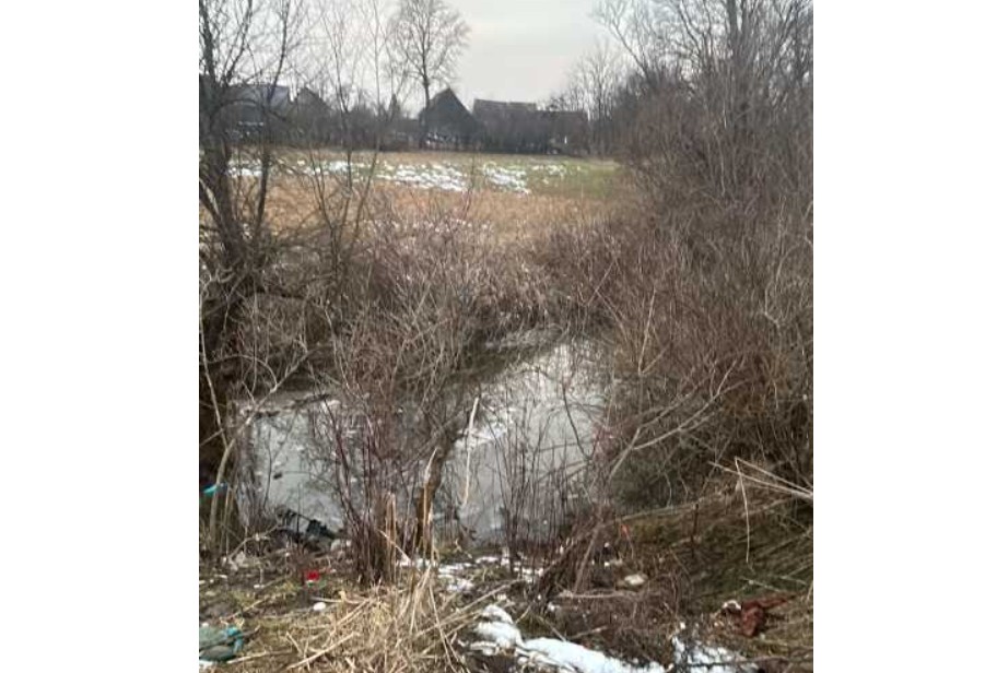 Fratele celor doi copii care s-au înecat într-un pârâu din Chirpăr, Sibiu, a fost dat în plasament în regim de urgenţă