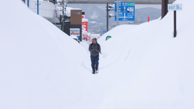 ninsori japonia zapada