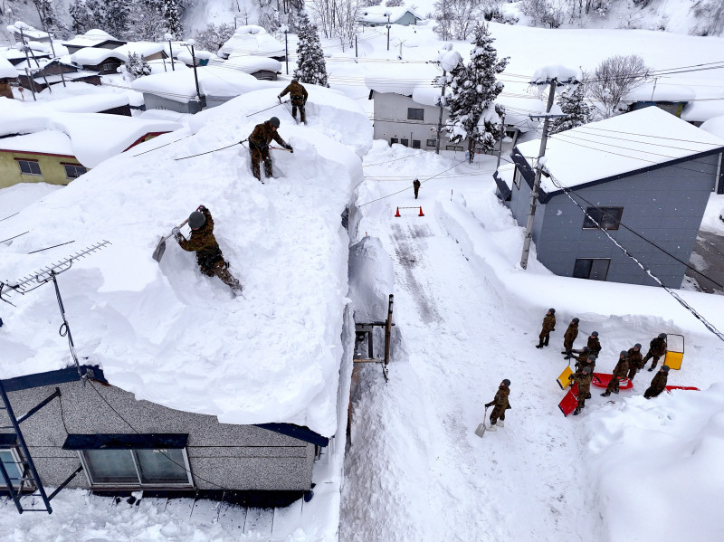 zapada japonia ninsori