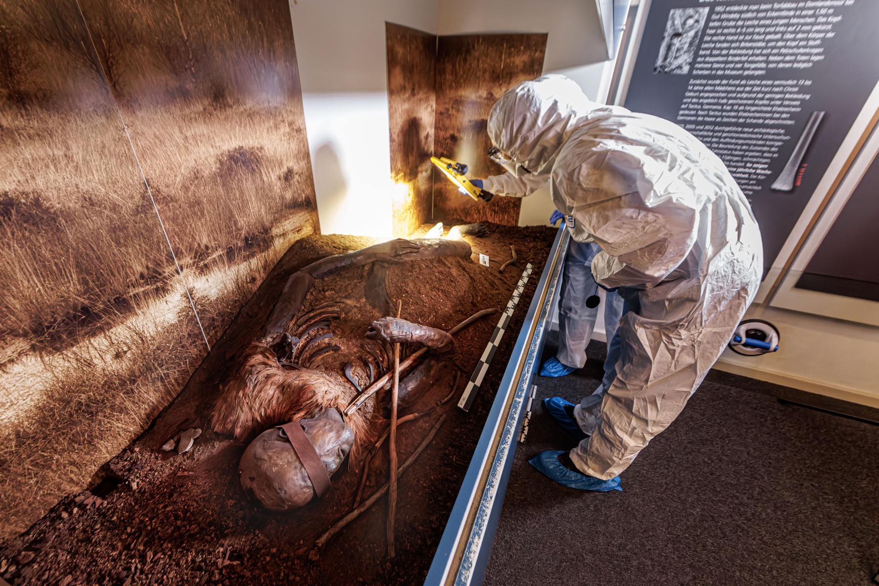 Misterul mumiilor din mlaștină: 60 de corpuri vechi de 2.000 de ani rescriu istoria triburilor germanice. „Sunt comori unice”