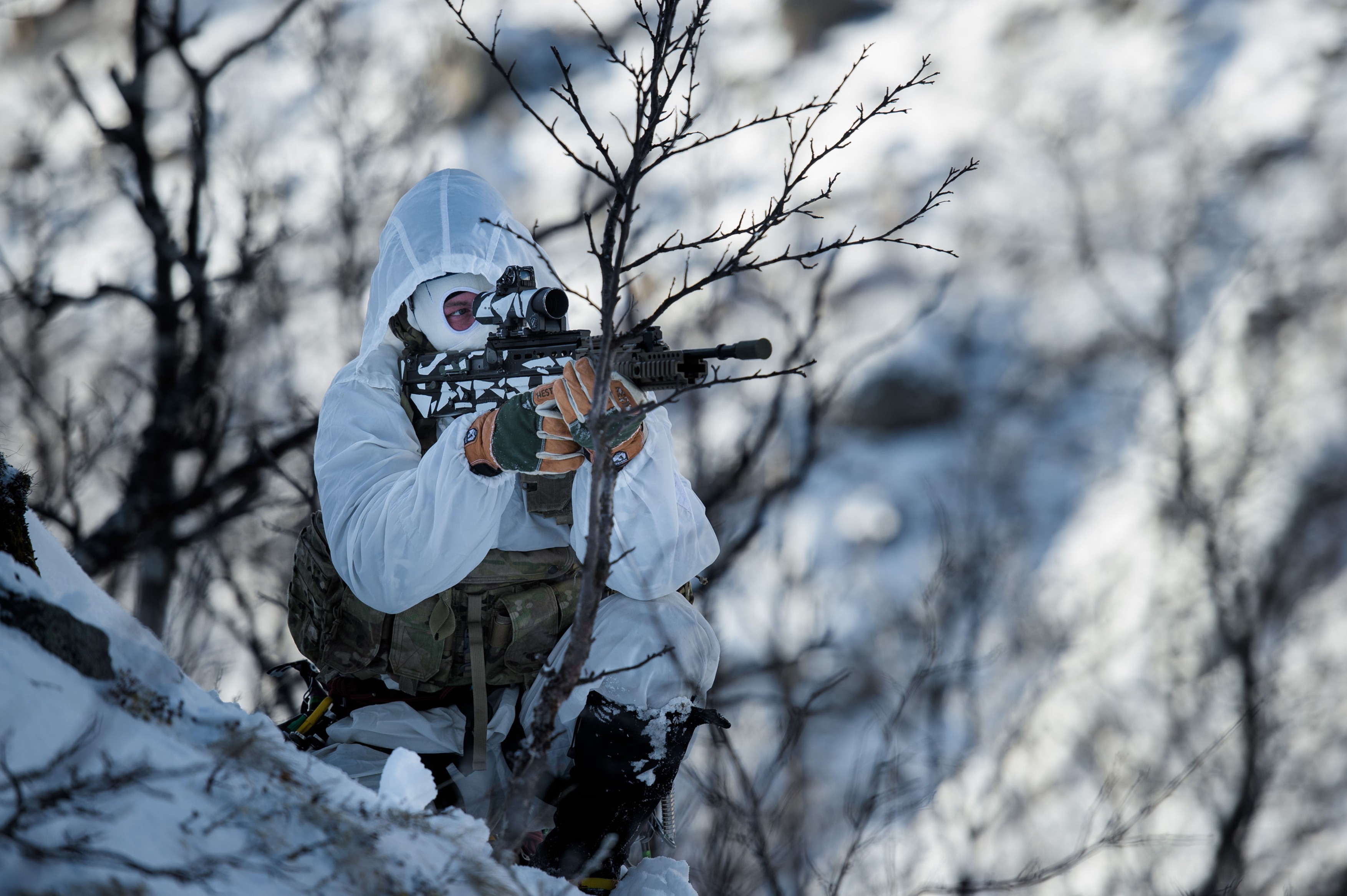 Finlanda înfiinţează un centru al NATO în Laponia pentru creşterea capacităţii defensive în Arctica