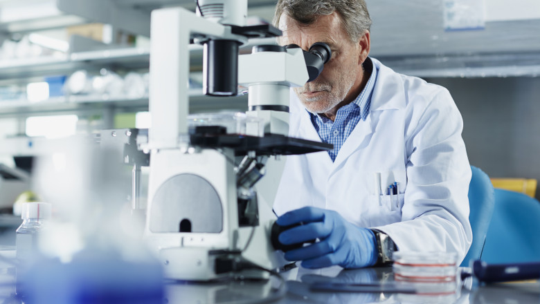 Bărbaţii au tendinţa să-şi piardă cromozomul Y pe măsură ce îmbătrânesc. Cum este afectat organismul