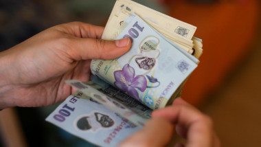 o persoana numara bancnote de lei