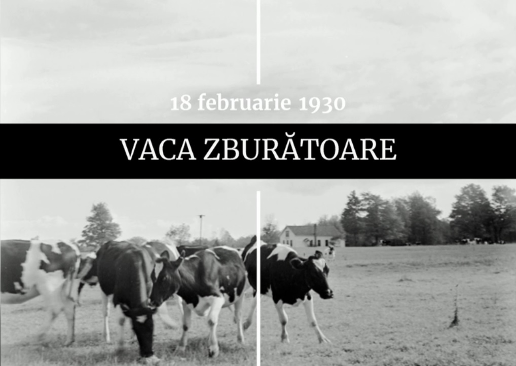 Digistoria - cele mai importante evenimente petrecute pe 18 februarie