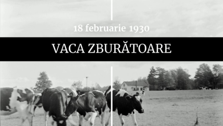 digistoria 18